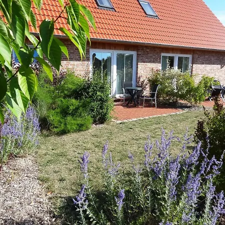 Apartment Hass - Haus 10 *
